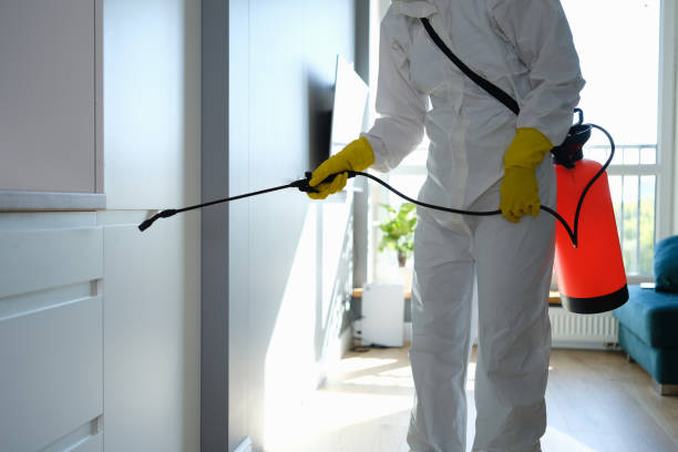 Best Commercial Mold Removal  in Karns, TN